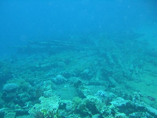 2008-05-16 (2) --- Parco Nazionale di 'Ras Mohamed' - Shark Reef & Yolanda Reef --- CIMG1125.JPG